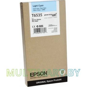 Картридж Epson C13T653500